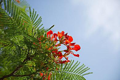 NFT新游《Superior》上架Steam 或违规V社暂未限制